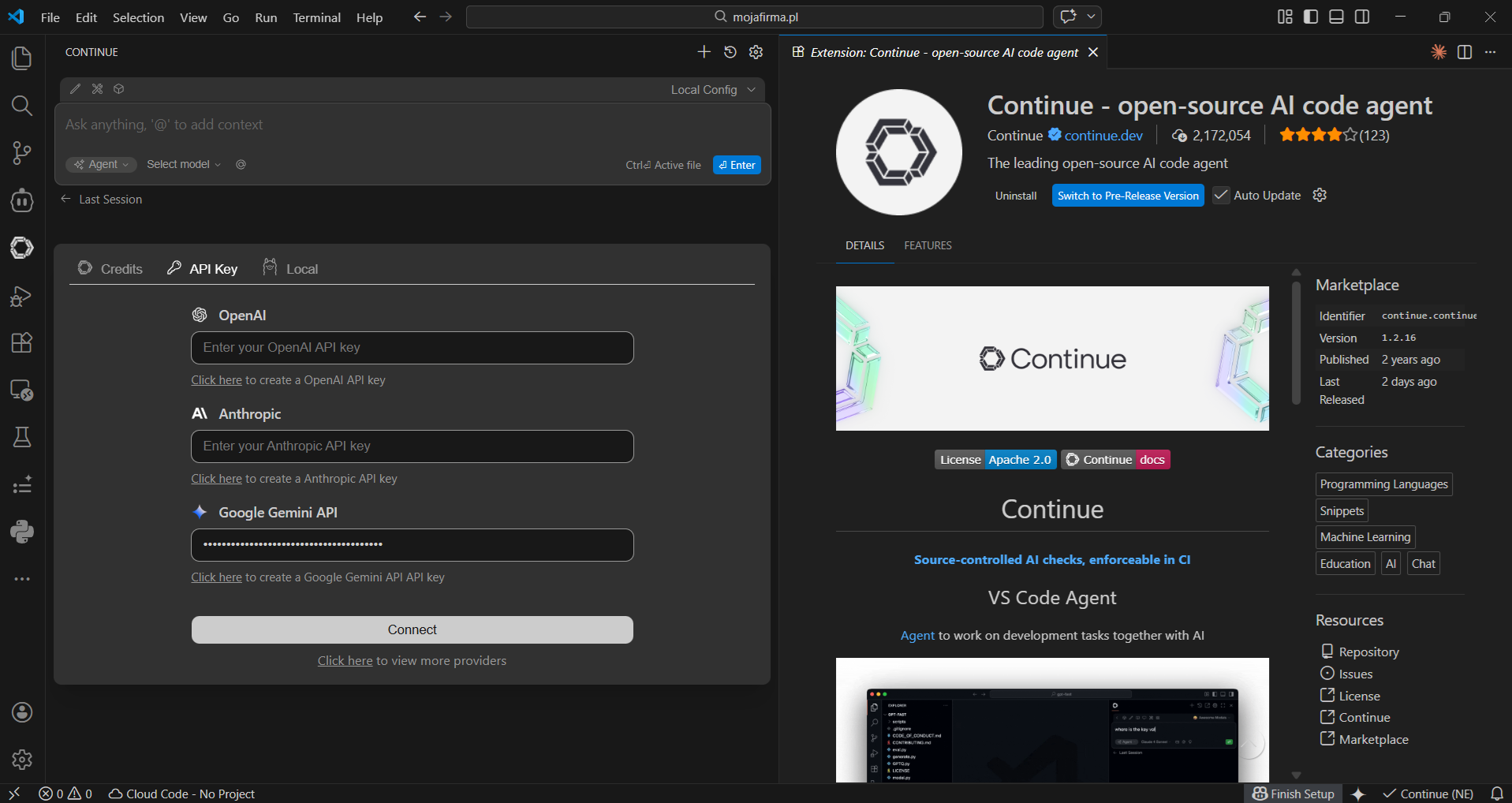 Ustawienia Continue w VS Code — wybór dostawcy Gemini i pole na klucz API